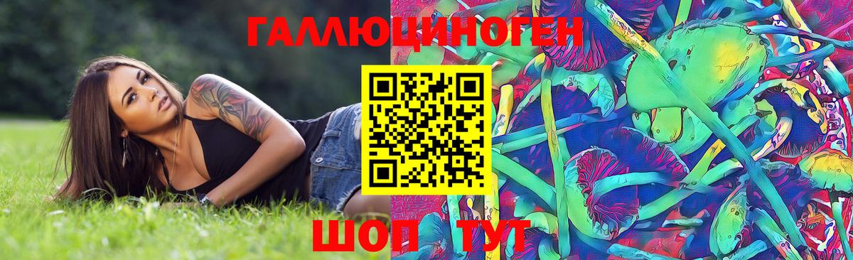 Галлюциногенные грибы MAGIC MUSHROOMS  Вход с VPN  Углич 